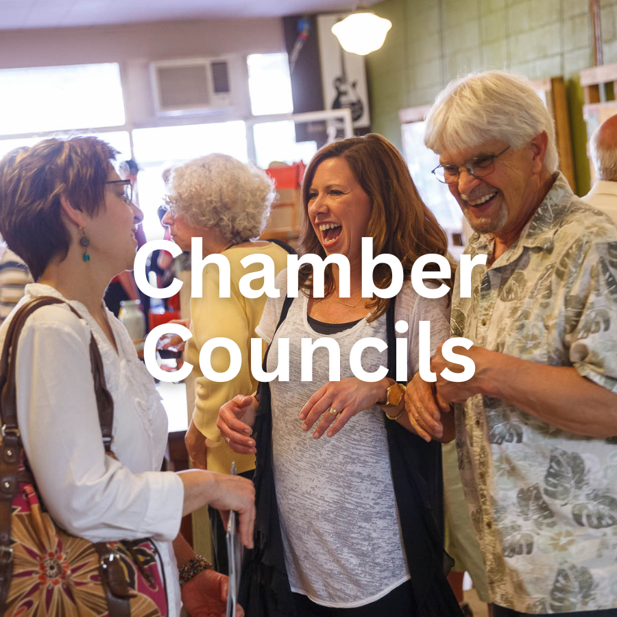 Chamber Councils